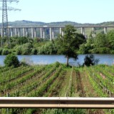 2305F 113 Marburg-Trier